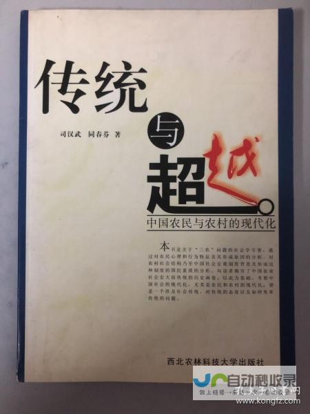 超越传统的网页开发：高端定制方案，助您在数字领域脱颖而出。